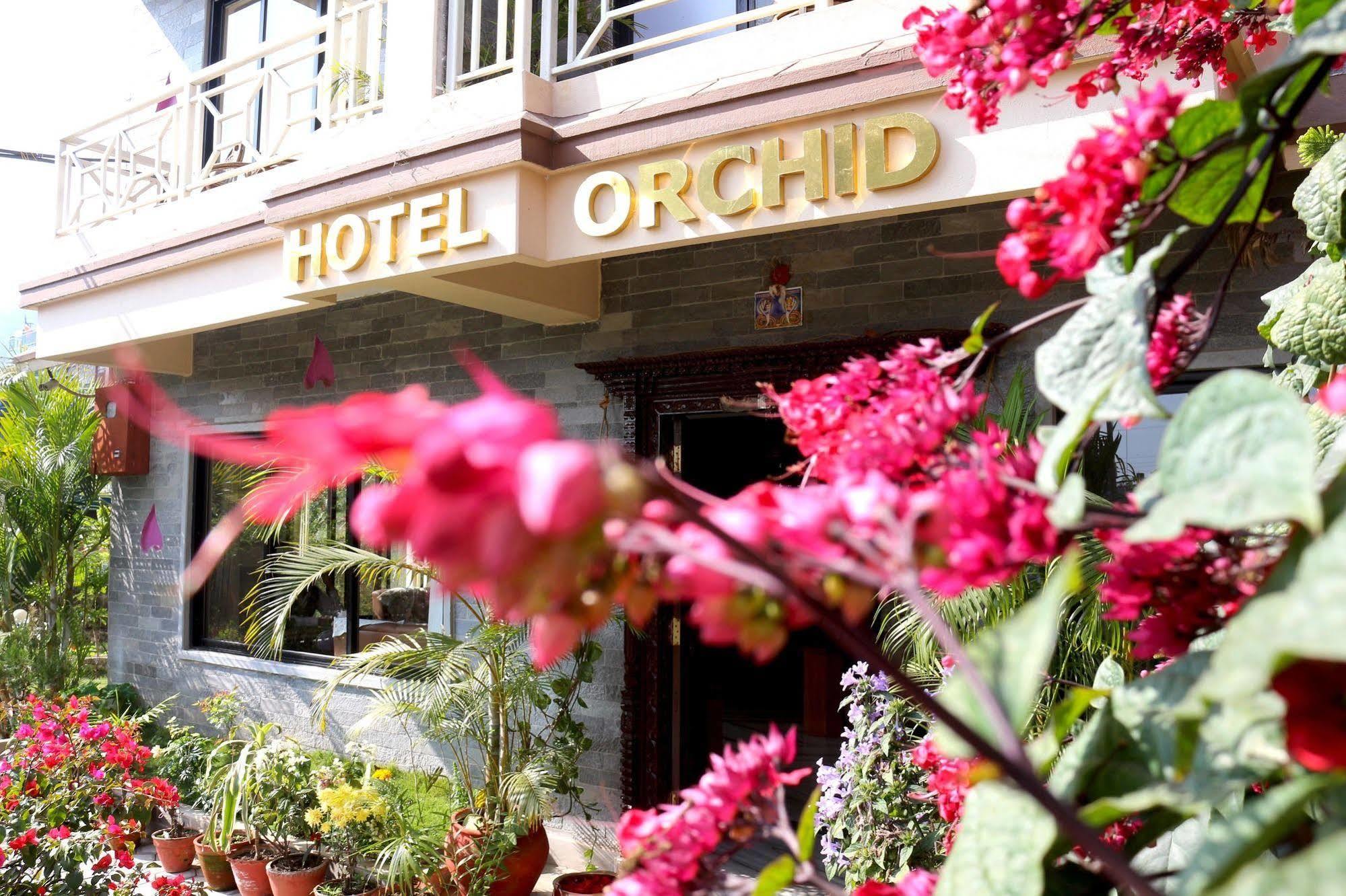 Hotel Orchid Pokhara Esterno foto
