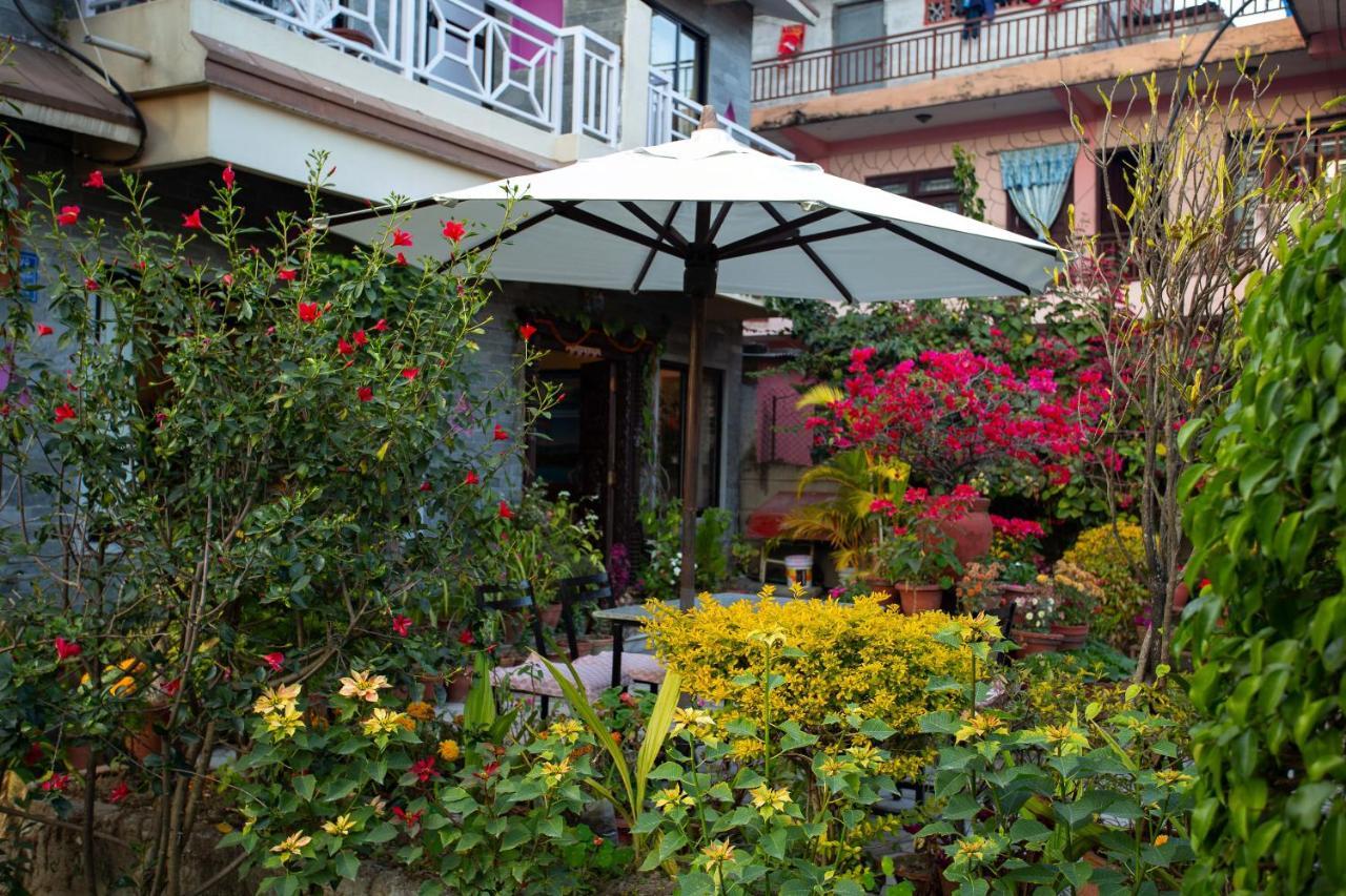 Hotel Orchid Pokhara Esterno foto