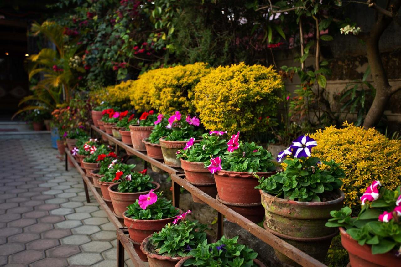 Hotel Orchid Pokhara Esterno foto