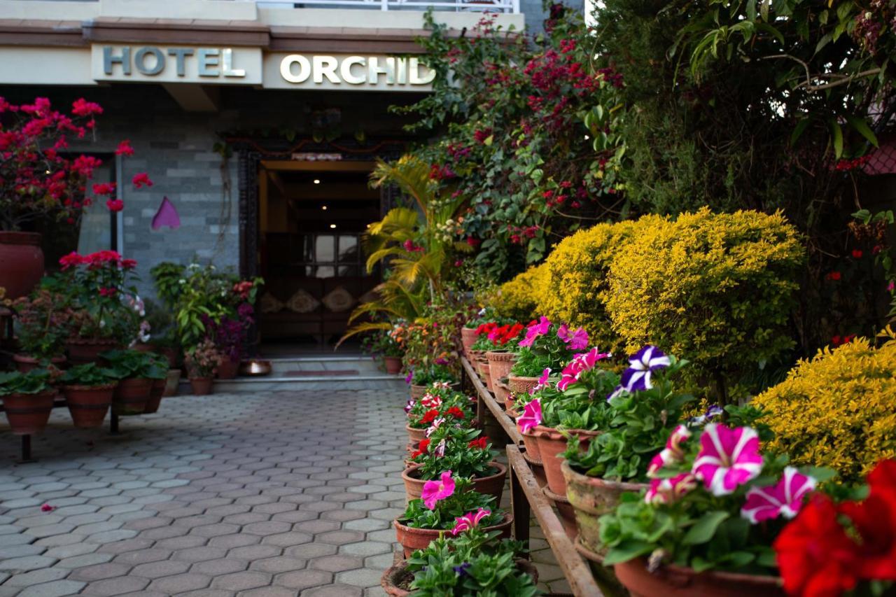 Hotel Orchid Pokhara Esterno foto